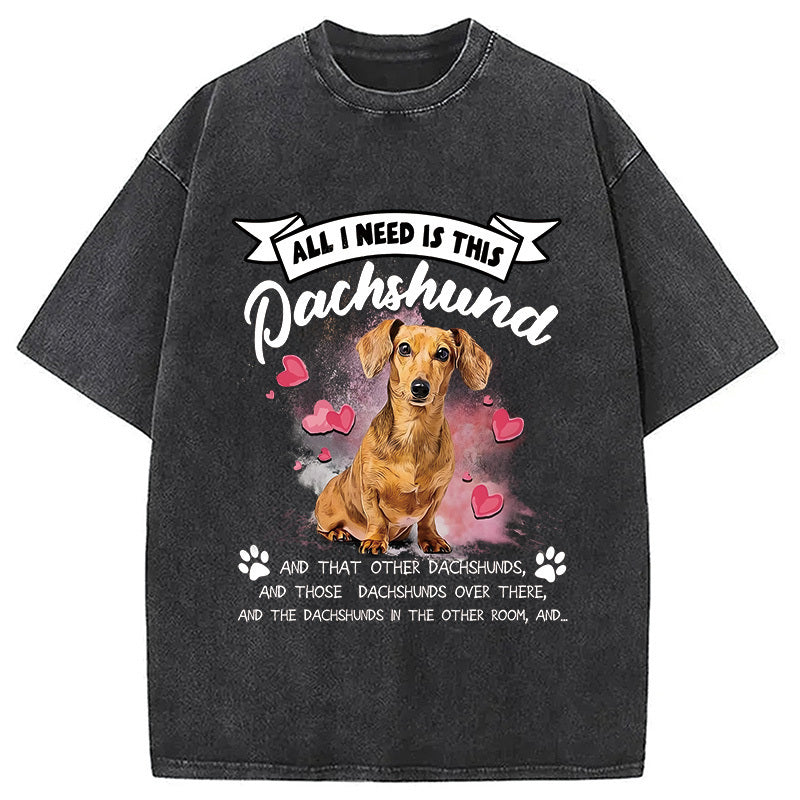 All I Need This Washed T-Shirt Everyday Comfort Graphic Shirt Gifts For Him - Gypsysystersgift