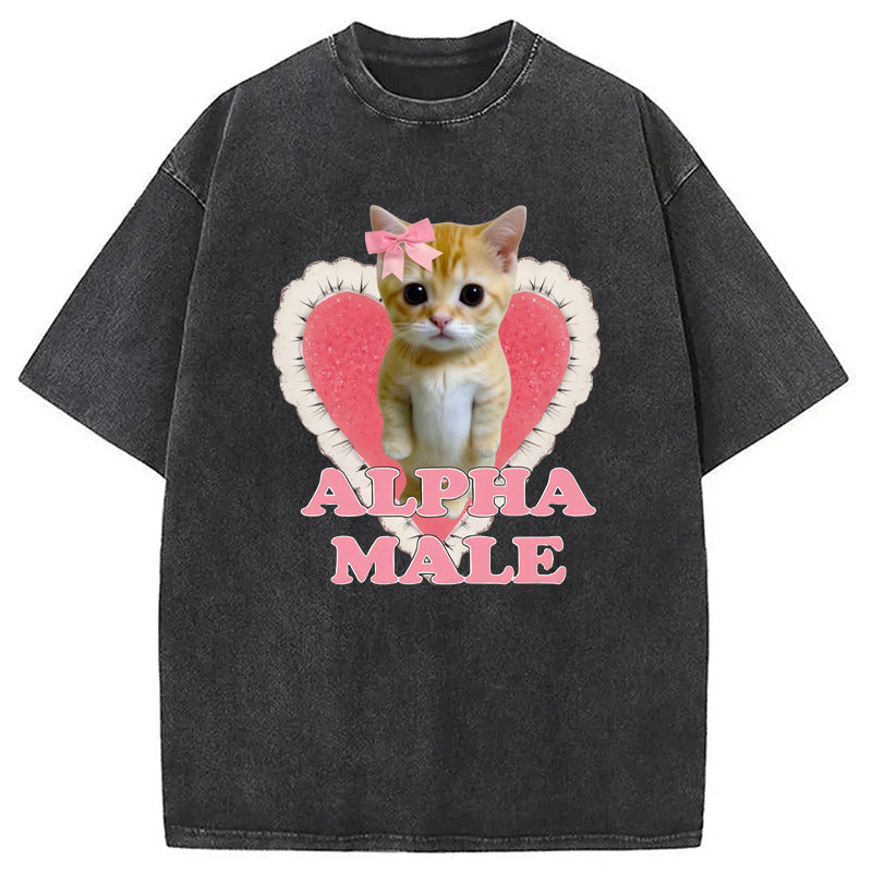 Alpha Male Kitten Washed T-Shirt Casual Oversized Outfit Style Gifts For Him - Gypsysystersgift