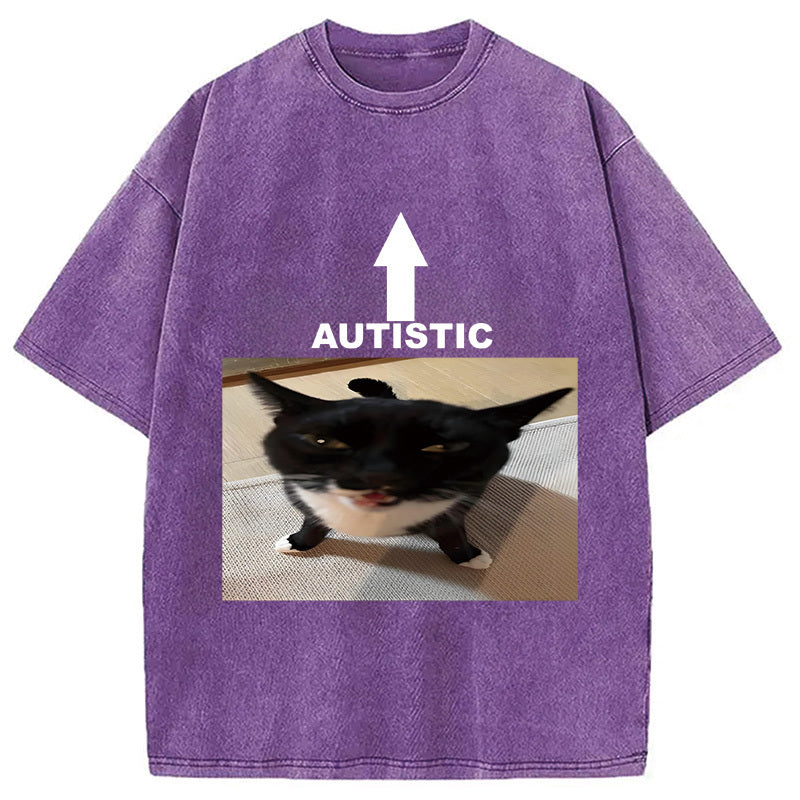Autistic Cat Washed T-Shirt Everyday Comfort Graphic Shirt Gifts For Him - Gypsysystersgift