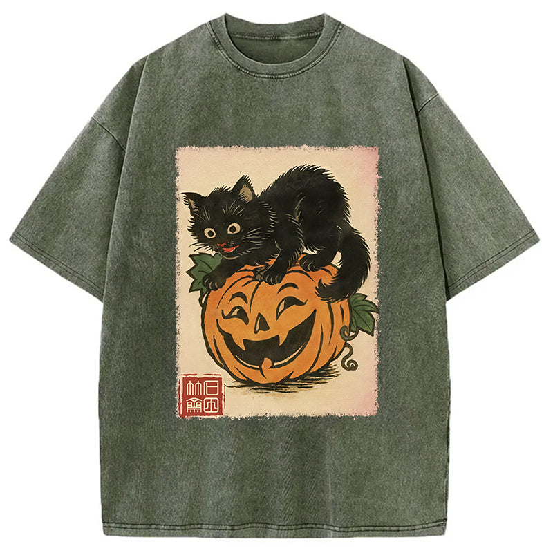 Black Cat And Pumpkin Washed T-Shirt Everyday Comfort Graphic Shirt Gifts For Him - Gypsysystersgift