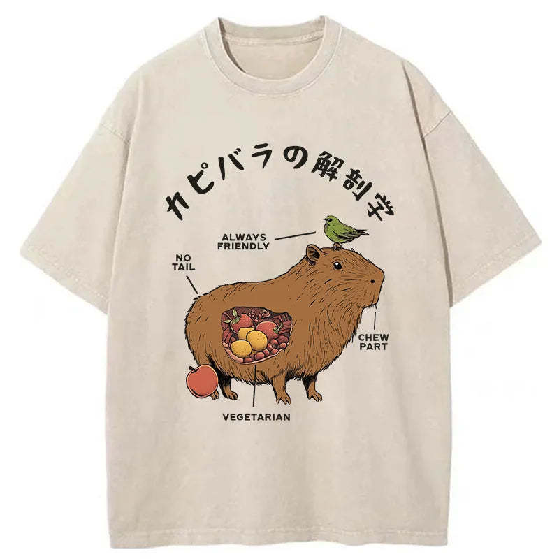 Capybara Anatomy Washed T-Shirt Minimal Retro Graphic Clothing Gifts For Him - Gypsysystersgift