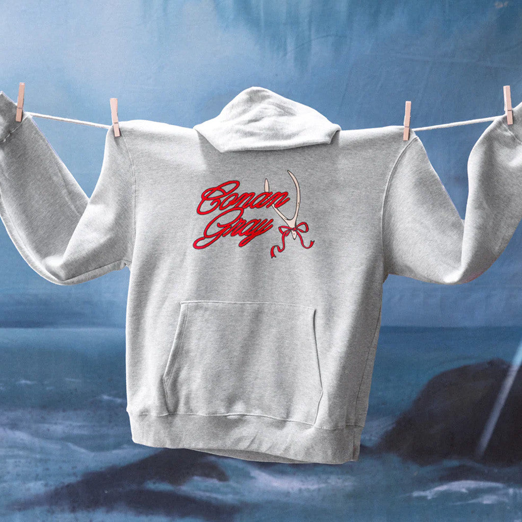 Conan Gray Merch Conan Gray Ribbon Wishbone Hoodie Best Gifts For Him - Gypsysystersgift