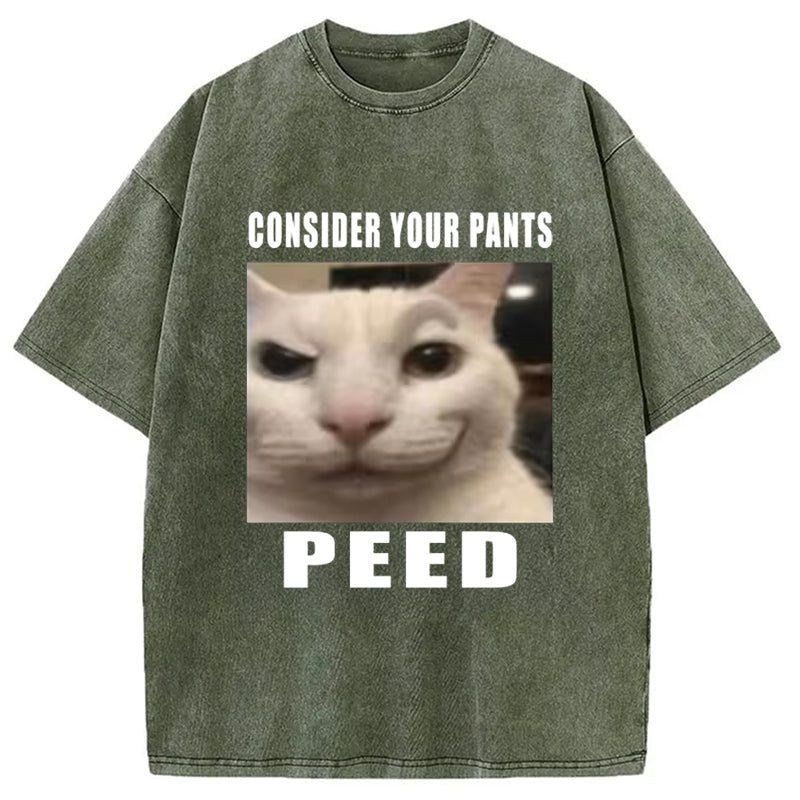 Consider Your Pants Peed Meme Washed T-Shirt Retro Humor Outfit Idea Gifts For Him - Gypsysystersgift