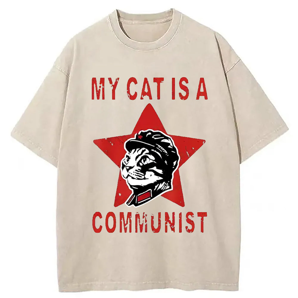 Funny Cat-ism Washed T-Shirt Minimal Retro Graphic Clothing Gifts For Him - Gypsysystersgift