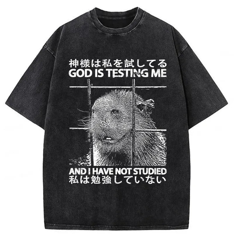 God Is Testing Me Washed T-Shirt Cool Urban Street Style Shirt Gifts For Brother - Gypsysystersgift