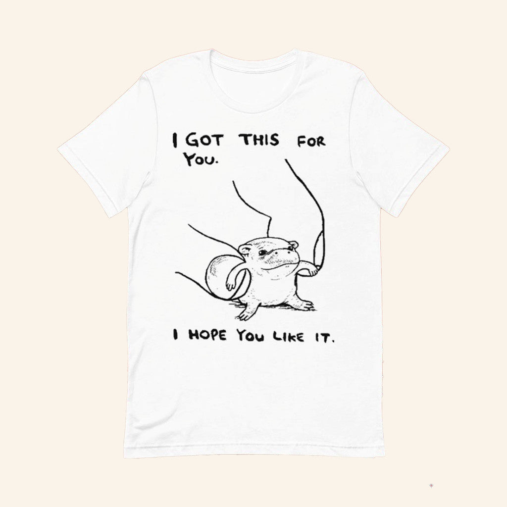 Hippo I Got This For You I Hope You Like It T-Shirt Cute Animal Shirt Gift For Wife - GypsysystersGift