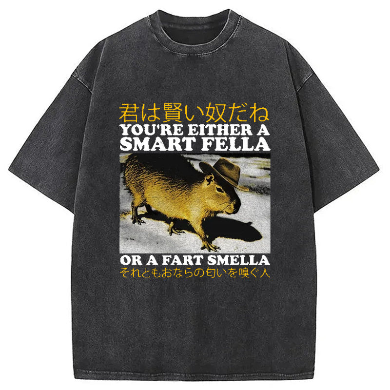 Japanese Smart Fella Capybara Washed T-Shirt Everyday Comfort Graphic Shirt Gifts For Her - Gypsysystersgift