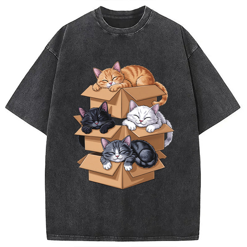 Kawaii Cardboard Cat Washed T-Shirt Funny Quote Unisex Shirt Gifts For BFF - Gypsysystersgift