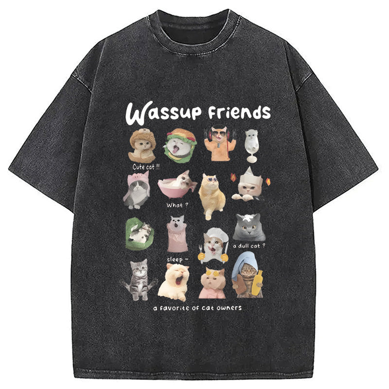 Meme Cat Familes Washed T-Shirt Retro Streetwear Graphic Top Gifts For Her - Gypsysystersgift