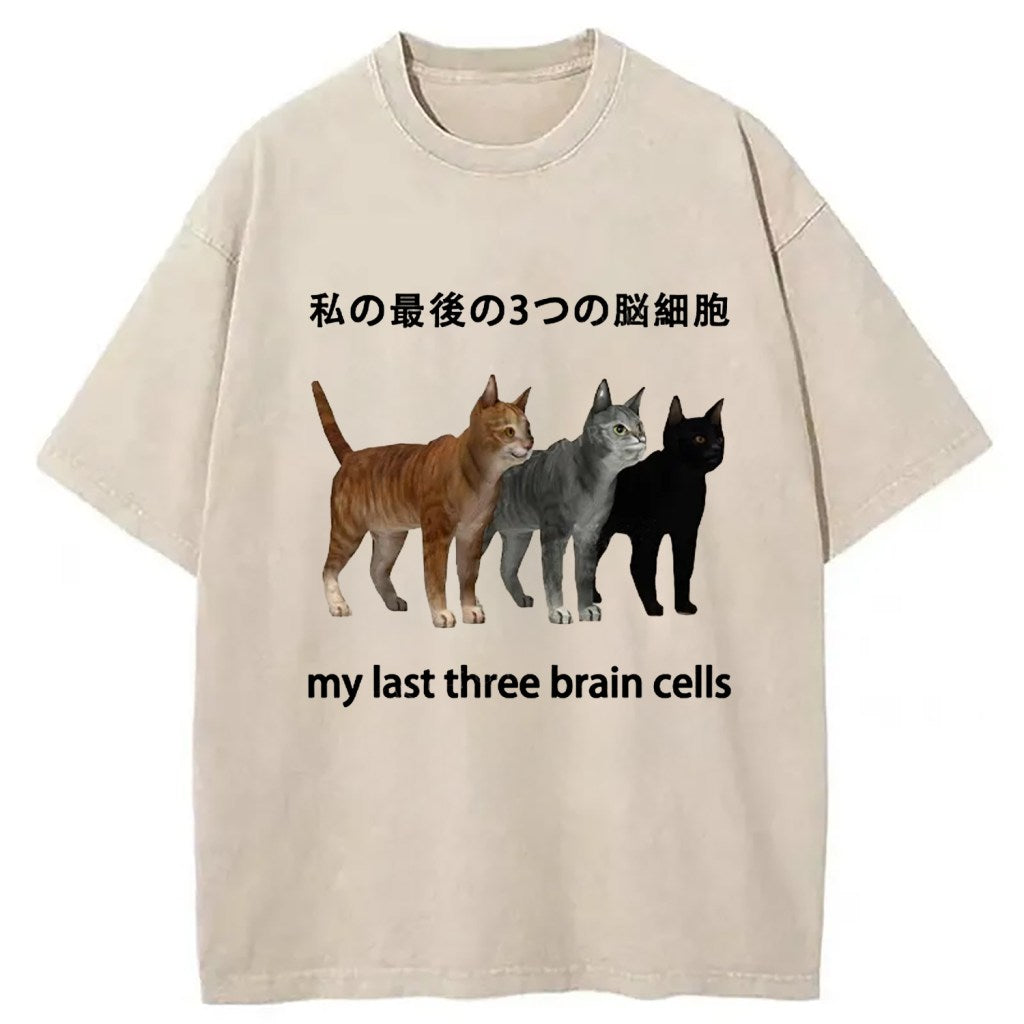 My Last Three Brain Cells Washed T-Shirt Unique Aesthetic Fashion Tee Gifts For Her - Gypsysystersgift
