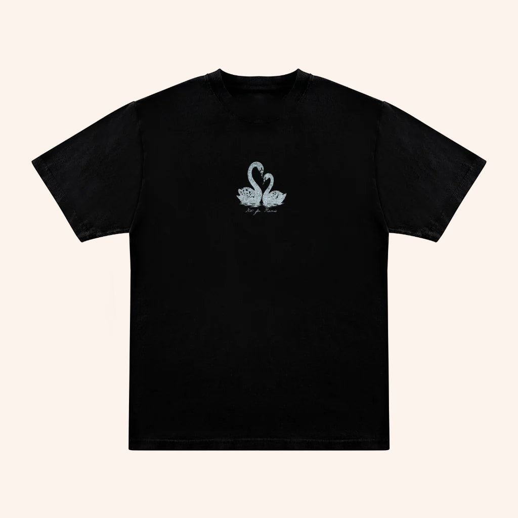 Not For Radio Merch Swan Lovers T-Shirt Valentines Day Presents - GypsysystersGift
