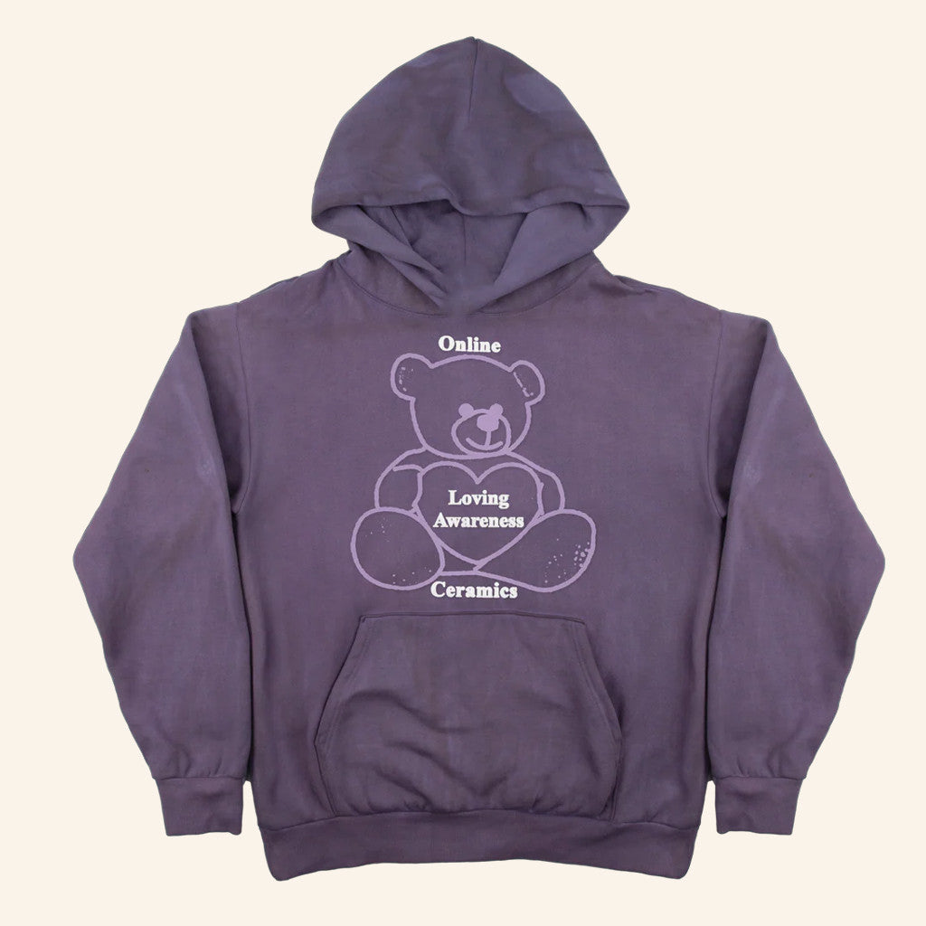 Online Ceramics Merch Loving Awareness Bear Hoodie Present For Sister - Gypsysystersgift