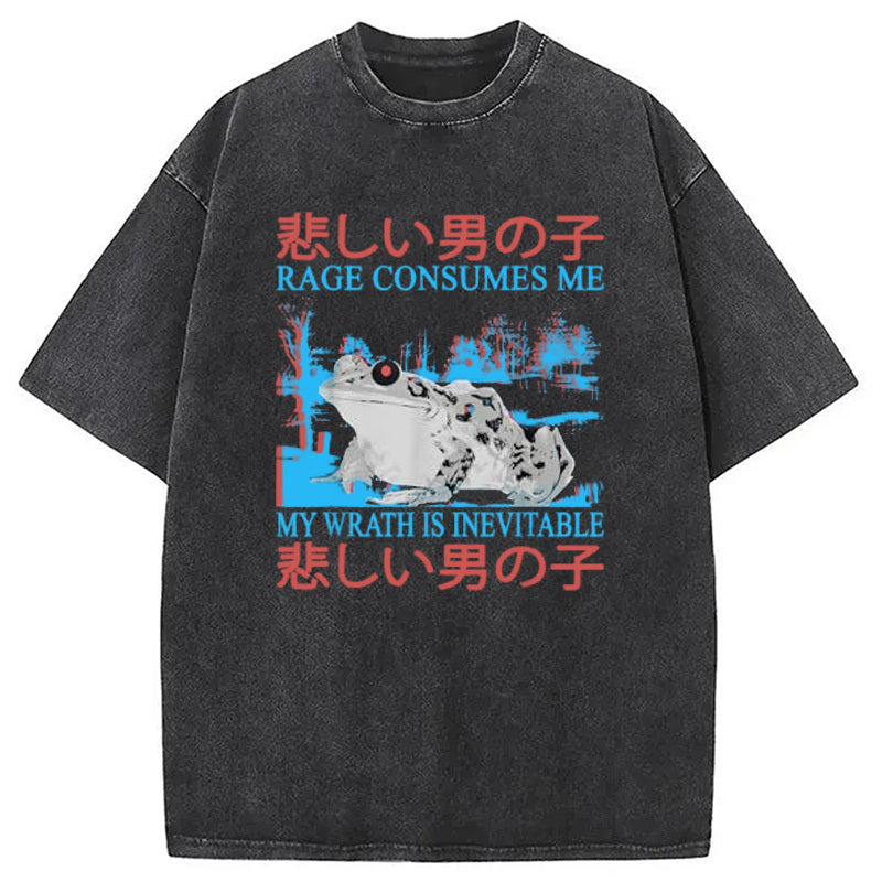 Rage Consumes Me Vintage Horror Japanese Frog Washed T-Shirt Trendy Everyday Casual Outfit Gifts For Him - Gypsysystersgift
