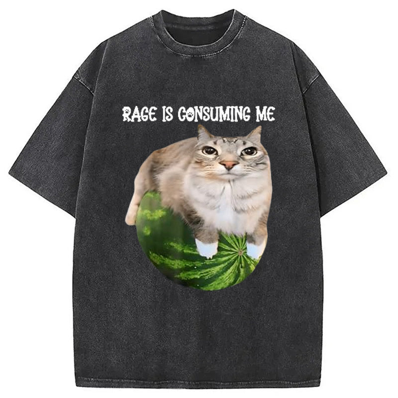 Rage Is Consuming Me Cat Meme Washed T-Shirt Trendy Aesthetic Graphic Apparel Gifts For Her - Gypsysystersgift
