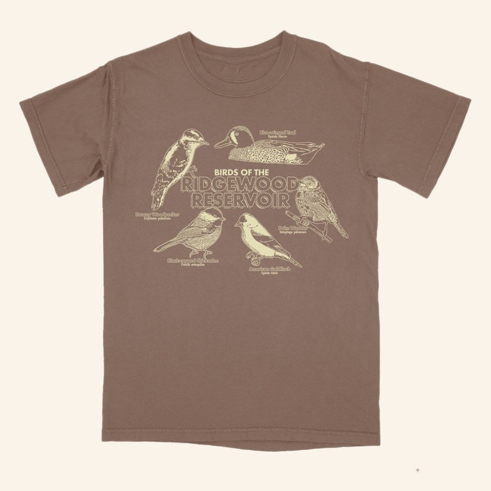 Small Orbit Merch Birds Of The Ridgewood Reservoir T-Shirt Unique Gifts For Him - GypsysystersGift