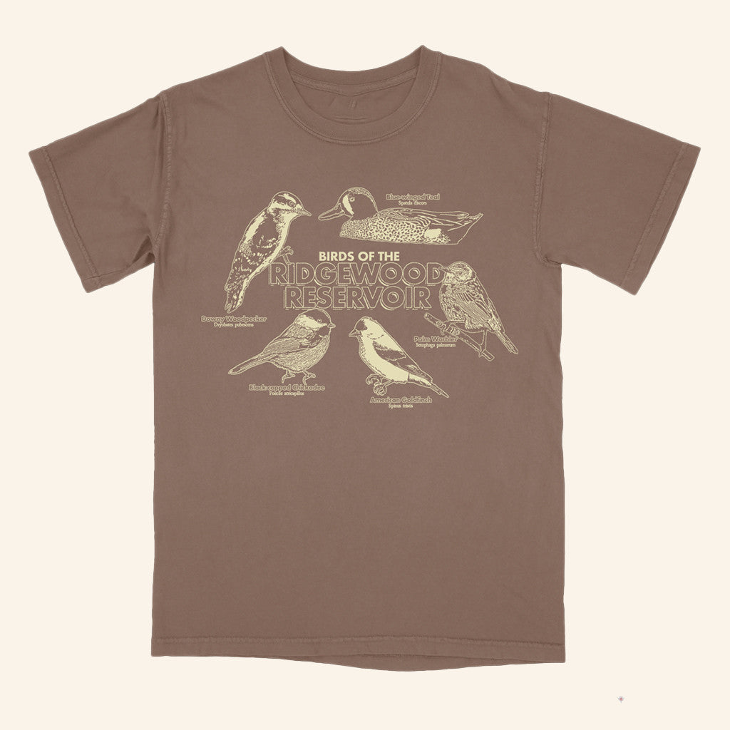 Small Orbit Merch Birds Of The Ridgewood Reservoir T-Shirt Unique Gifts For Him - GypsysystersGift