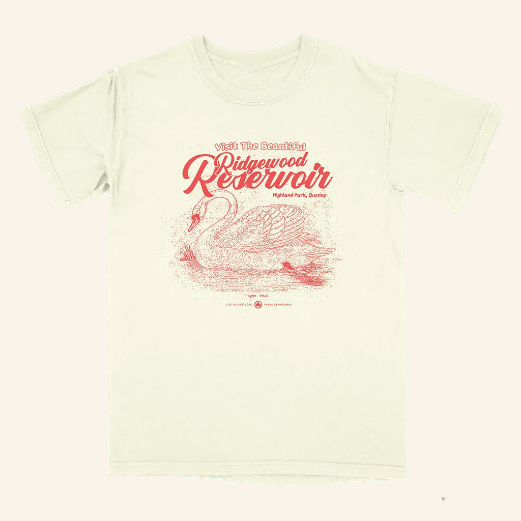 Small Orbit Merch Visit The Beautiful Ridgewood Reservoir Queens NY Shirt Gifts For Her - GypsysystersGift