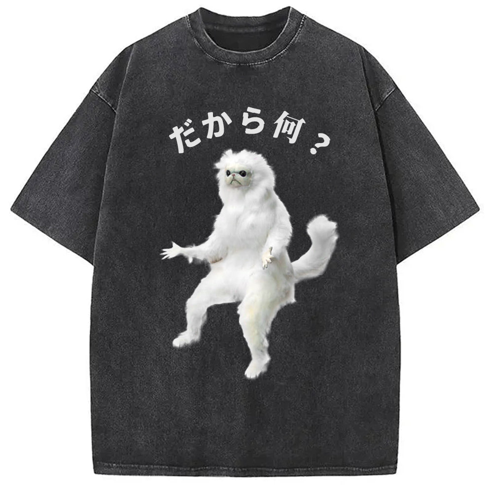 So What White Cat Meme Washed T-Shirt Funny Aesthetic Trendy Apparel Gifts For Her - Gypsysystersgift