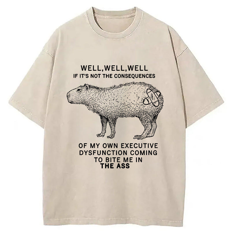 Stupid Capybara Washed T-Shirt Everyday Comfort Graphic Shirt Gifts For Brother - Gypsysystersgift
