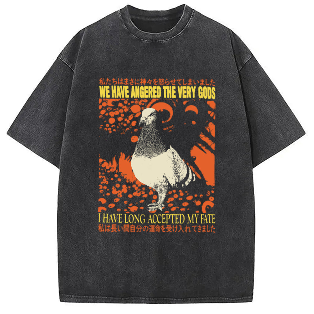We Have Angered The Very Gods Washed T-Shirt Soft Comfortable Daily T Shirt Gifts For Him - Gypsysystersgift