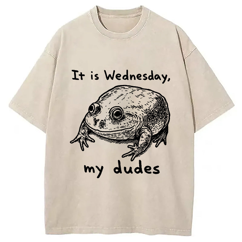 Wednesday Frog Vintage Washed T-Shirt Soft Cotton Daily Wear Tee Gifts For Him - Gypsysystersgift