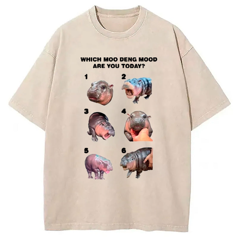 Which Moo Deng Are You Today Washed T-Shirt Cool Graphic Tee For Men Women Gifts For Him - Gypsysystersgift