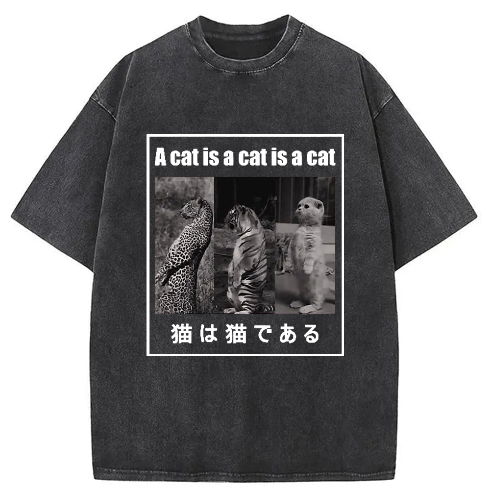 Who Is The Real Cat Washed T-Shirt Trendy Everyday Casual Outfit Gifts For Him - Gypsysystersgift
